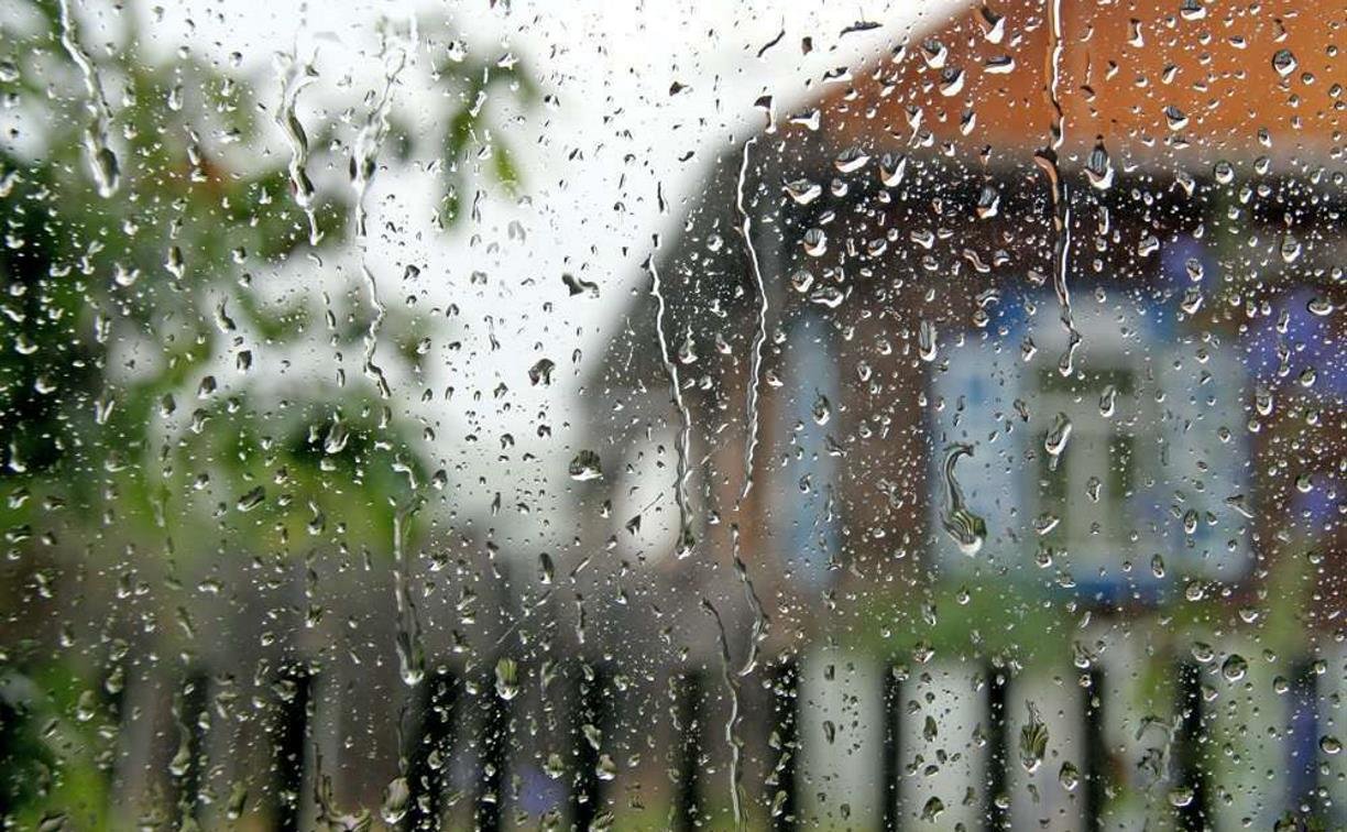 Дождик молчит. Дождь за окном. Дождливое утро. Дождь в окне. Весенний дождь за окном.