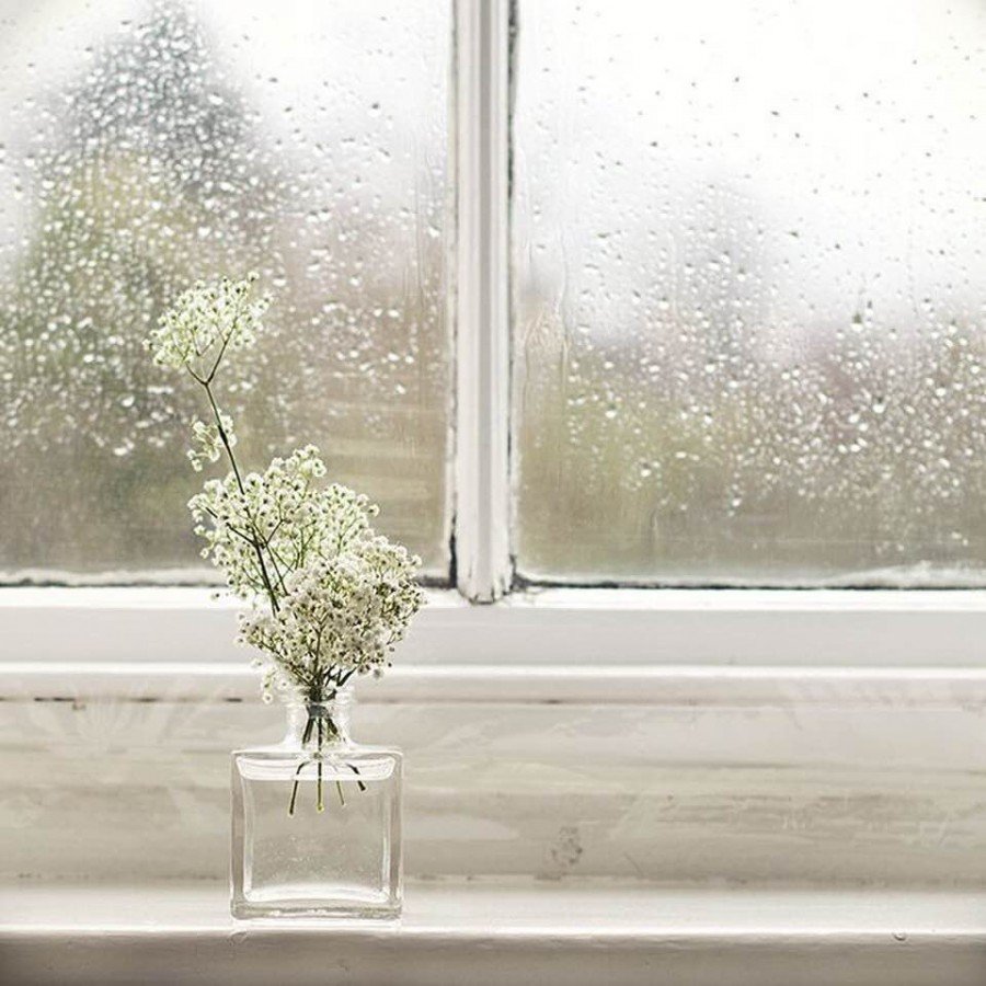 Весенний дождь за окном