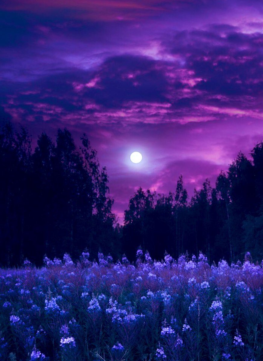 Благословенной весенней ночи. Фиолетовый пейзаж. Природа ночью. Пейзаж в фиолетовых тонах. Ночное поле.