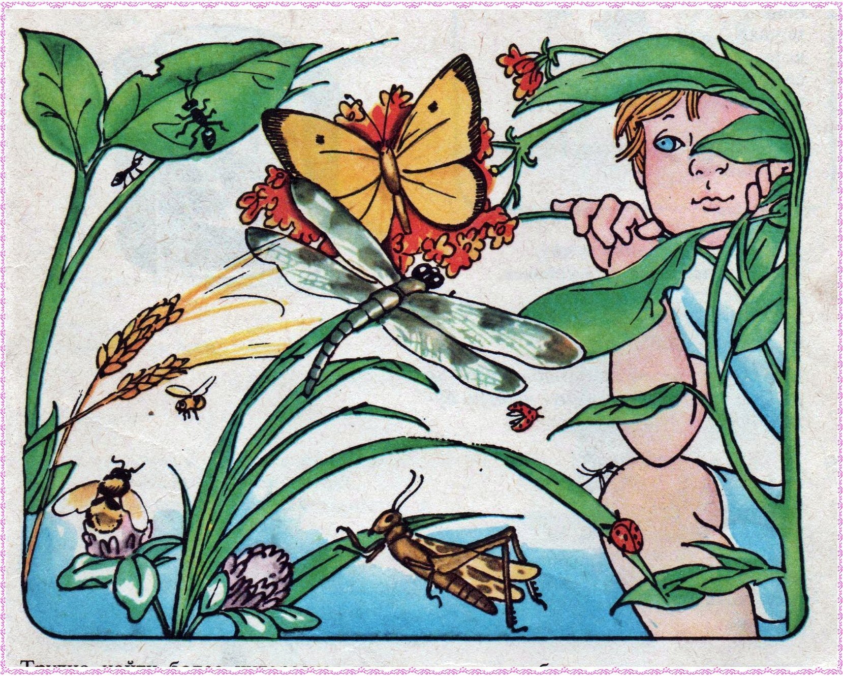 Произведение разноцветные бабочки. Насекомые иллюстрации для детей. Мир насекомых. Иллюстрации насекомых для детского сада. Мир насекомых для детей.