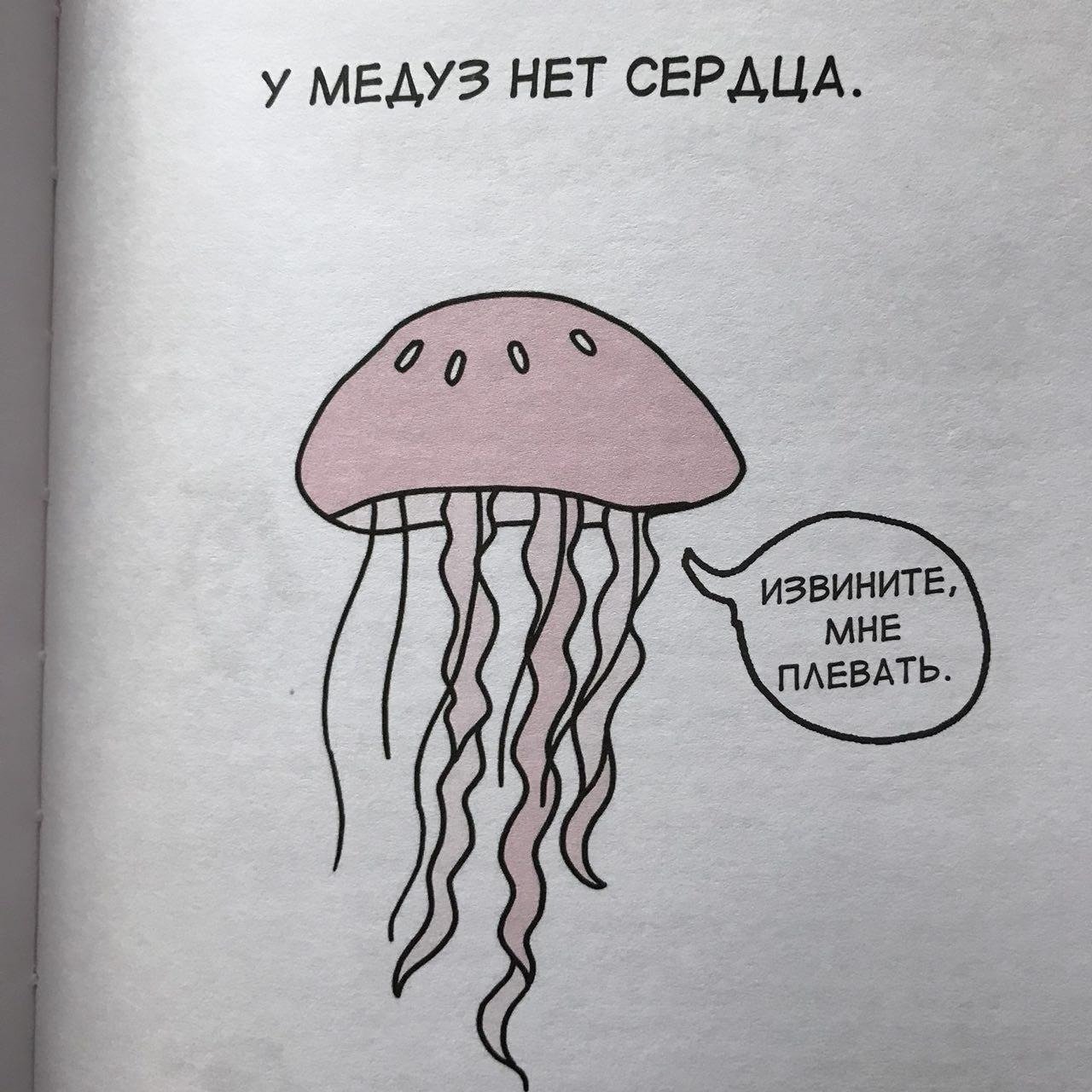 У медузы есть мозги