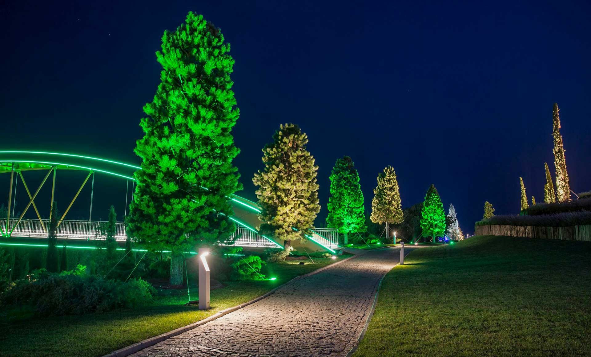 Подсветить зеленым. Ландшафтная подсветка деревья Охта парк. Архитектурная подсветка деревьев. Декоративное освещение парков. Подсветка деревьев в парке.