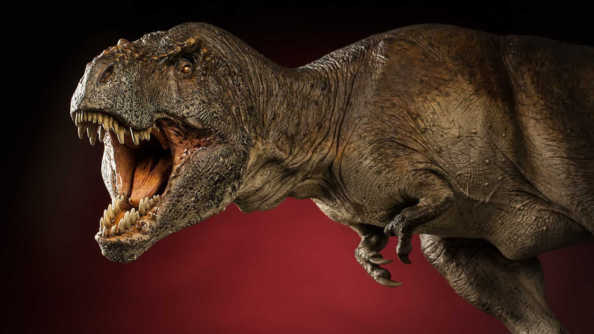 Рев динозавра. Тираннозавр рекс. Динозавр "Тиранозавр рекс". Тираннозавр рекс Sideshow. Тираннозавр рекс 2022.