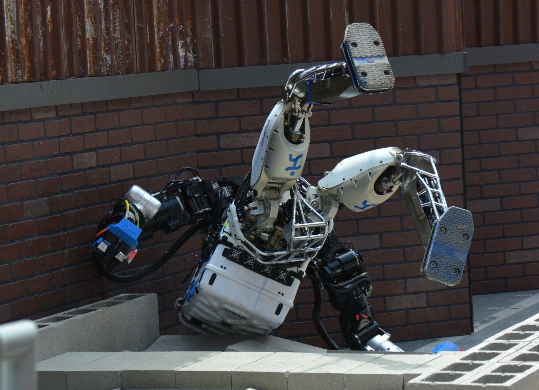 Почему роботы хотят. ДАРПА роботы. Крутые роботы. Смешной робот. Сломанный робот.