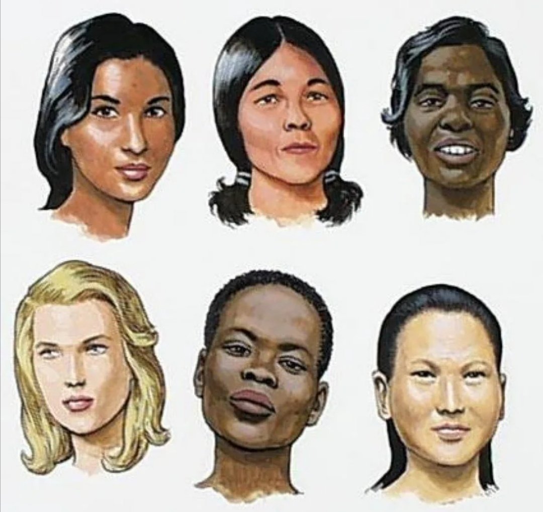 Виды европейцев. Расы людей. Представители разных рас. Человеческие расы. Лица людей разных рас.