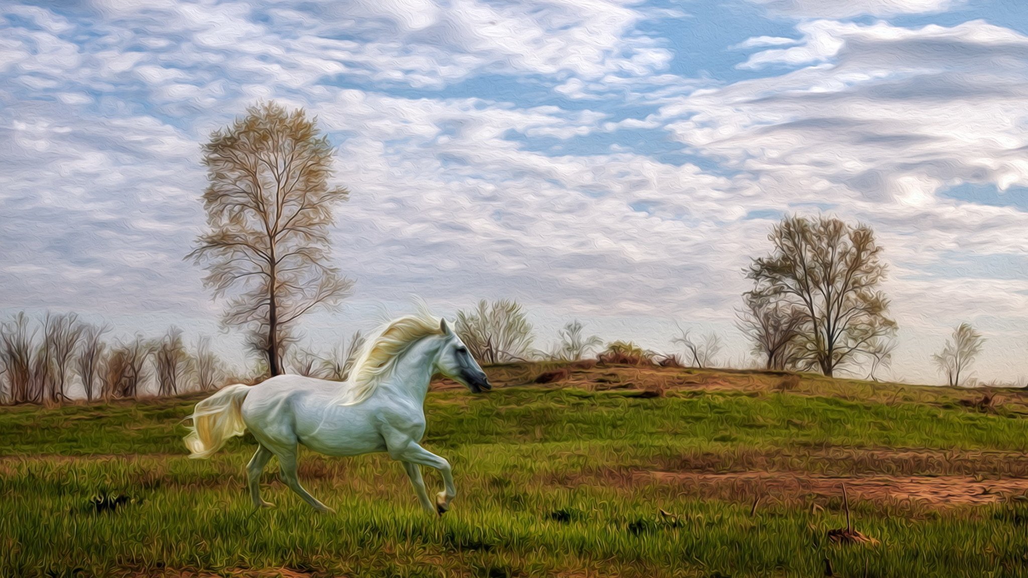 По дороге лошадка. Лошади на природе. Конь в поле. Лошадь в поле. Белая лошадь в степи.