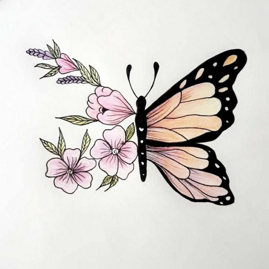 Бабочки для срисовки легкие