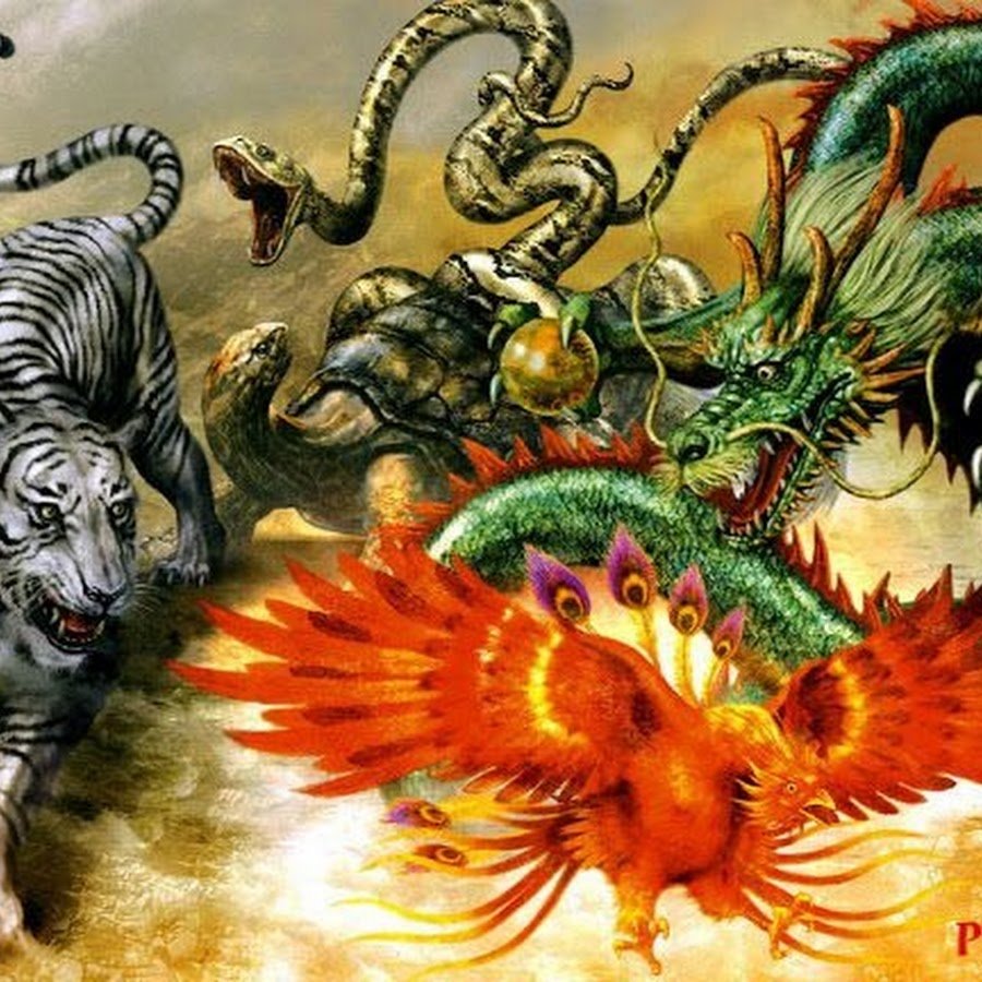 Китайский огненный дракон
