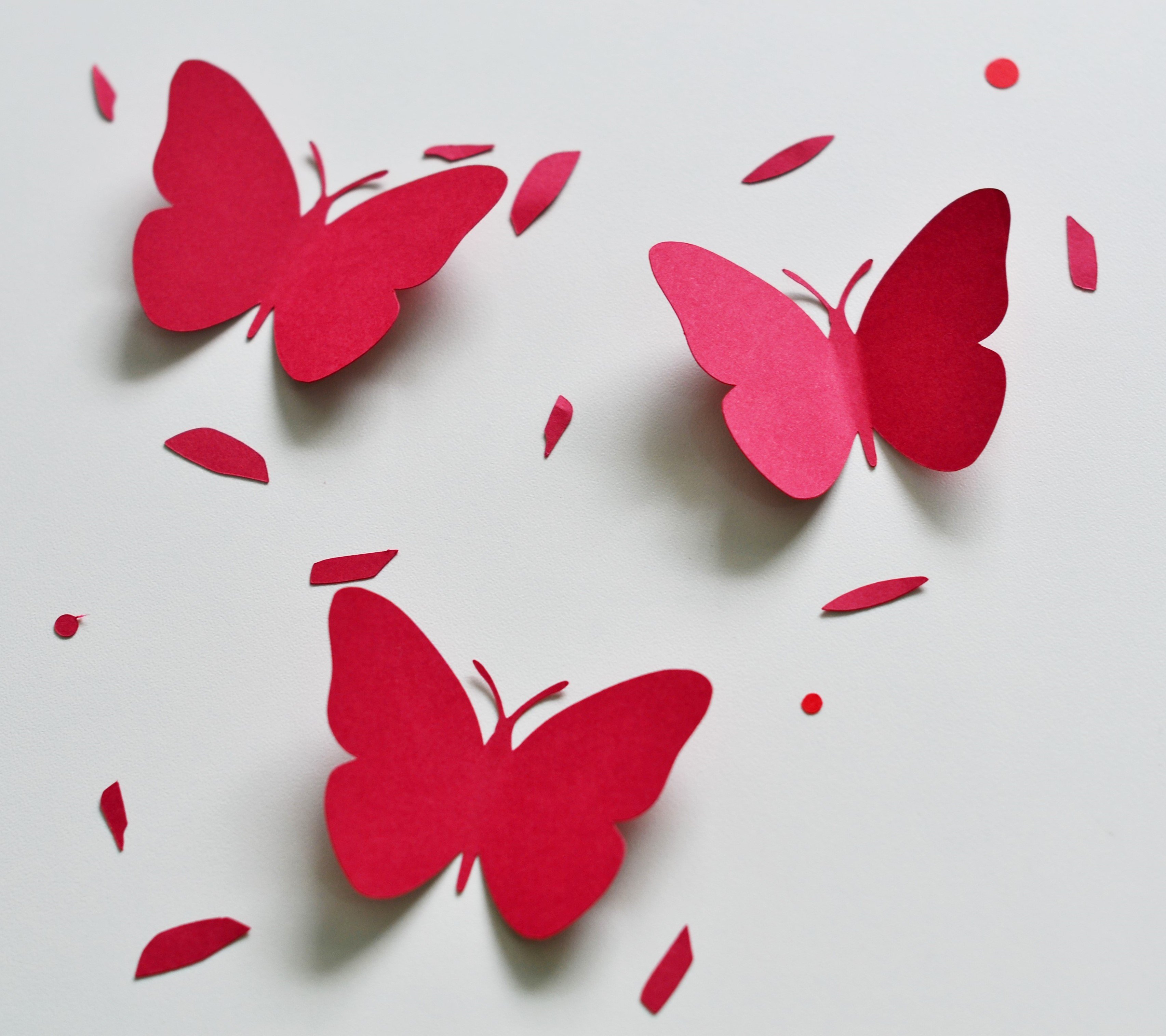 Объемная бабочка из бумаги своими руками. Объемные бабочки. Бабочка поделка из бумаги. Объемные бабочки из бумаги. Поделка бабочка из цветной бумаги.