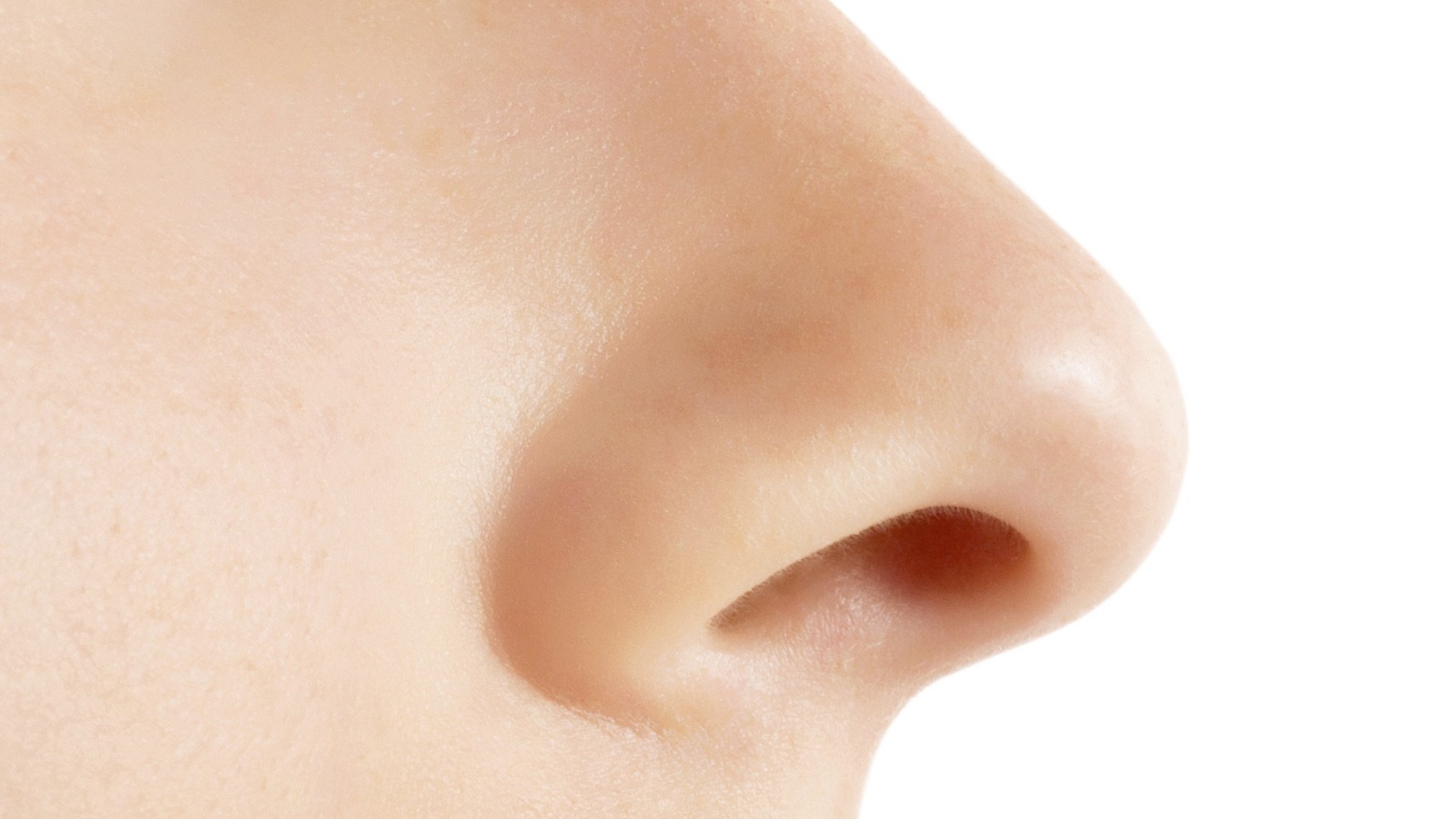 Покажи картинки носа. Нос. Нос на белом фоне. Нос на прозрачном фоне.