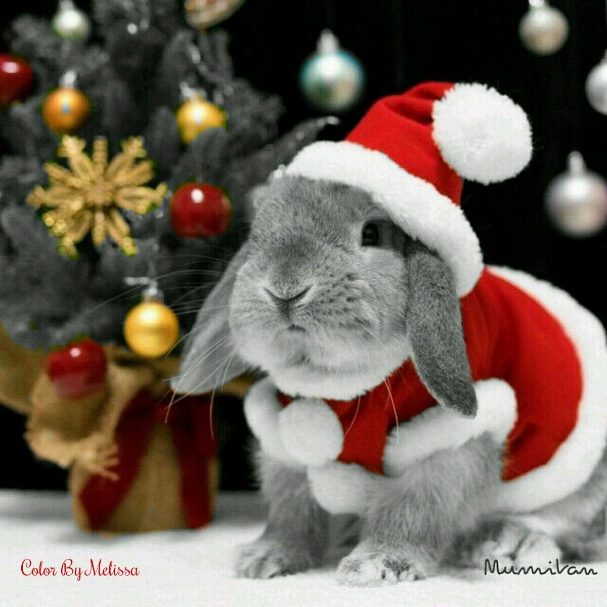 Год кролика хороший. Новогодний заяц. Рождественский кролик. Кролик Рождество. Новогодний кроликкролик.