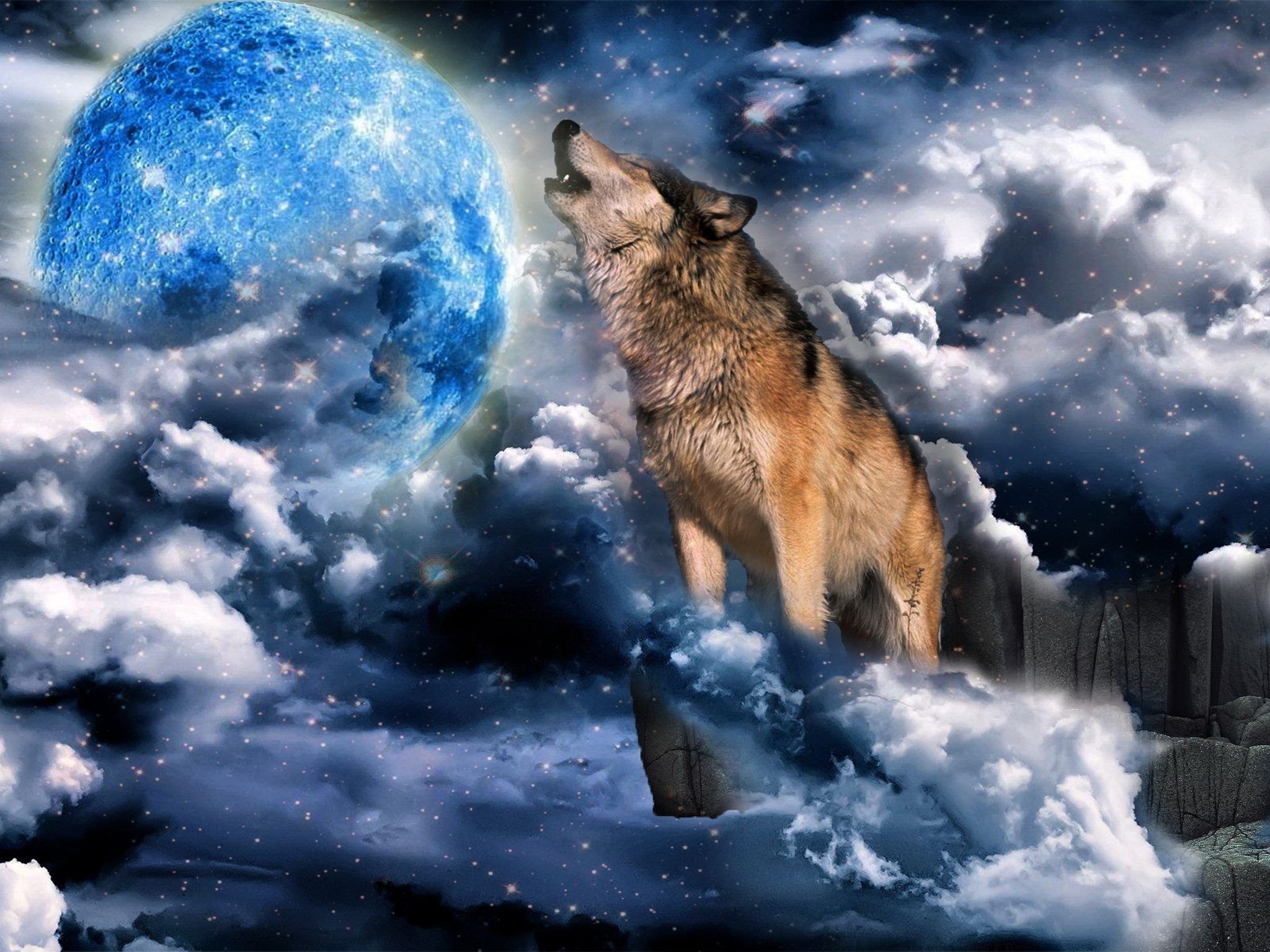 Красивые обои на телефон волк. Волк и Луна. Красивый волк. Волк воет на луну. Лунные волки.