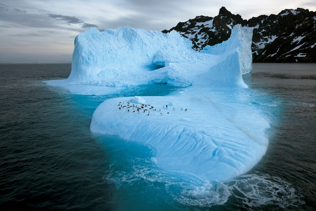 Уэдделла Антарктида. Пауль Никлен Антарктика. Ледовитый океан Айсберг. Лед 3 океан