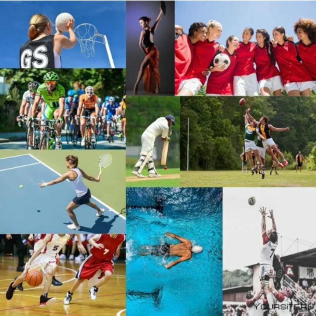 All kinds of sports. Спортивный коллаж. Летние виды спорта. Спорт в Австралии. Виды спорта коллаж.