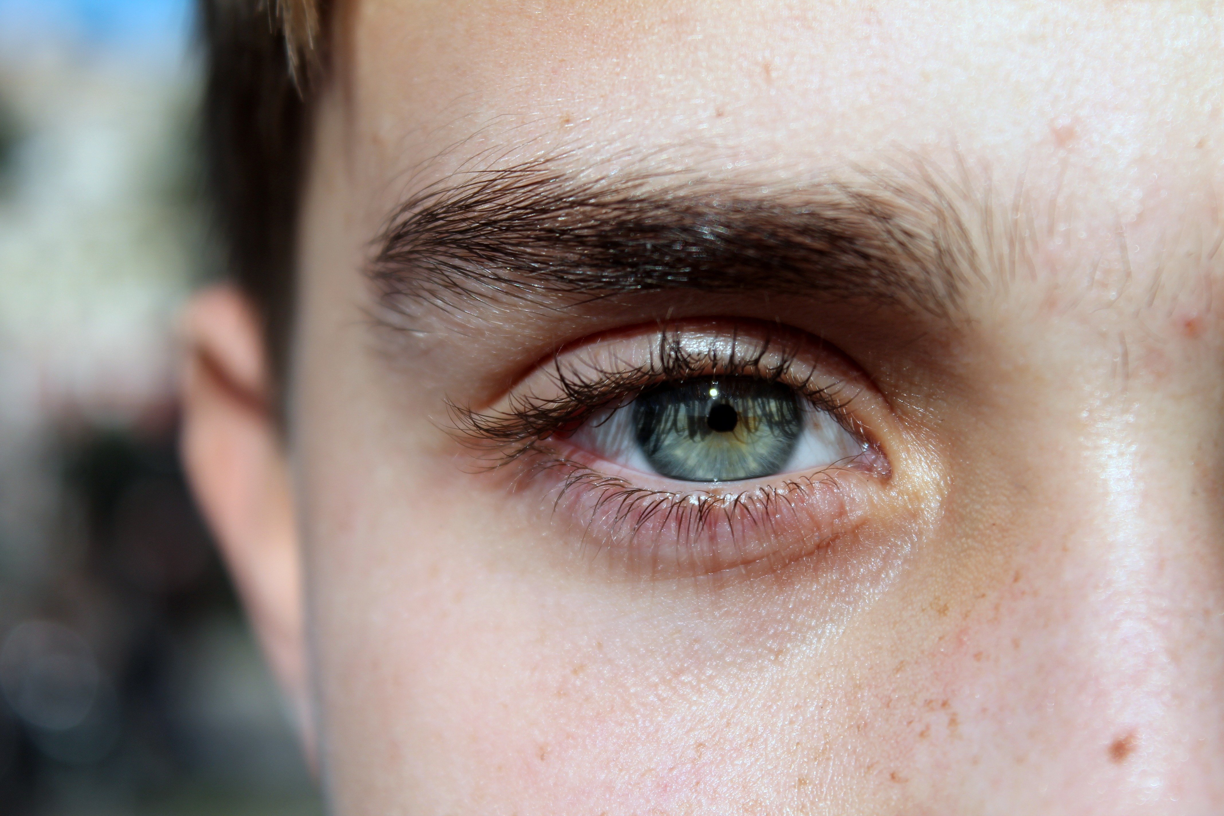 Генетика ресницы. Глаза мужские. Густые мужские брови. Карие глаза мужские. Голубые глаза мужские.