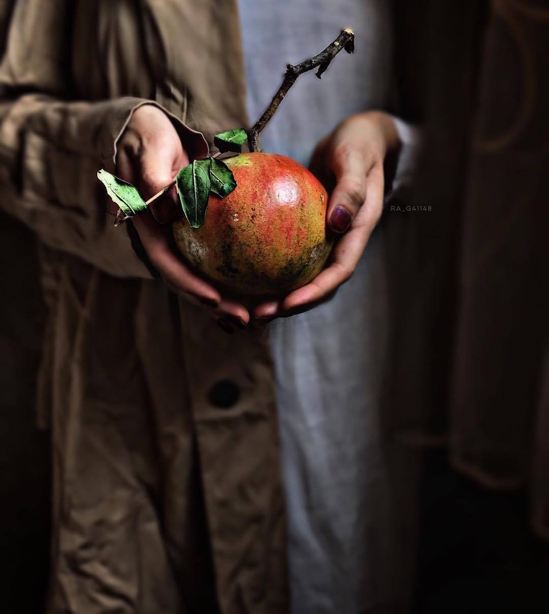 Ловить яблоко