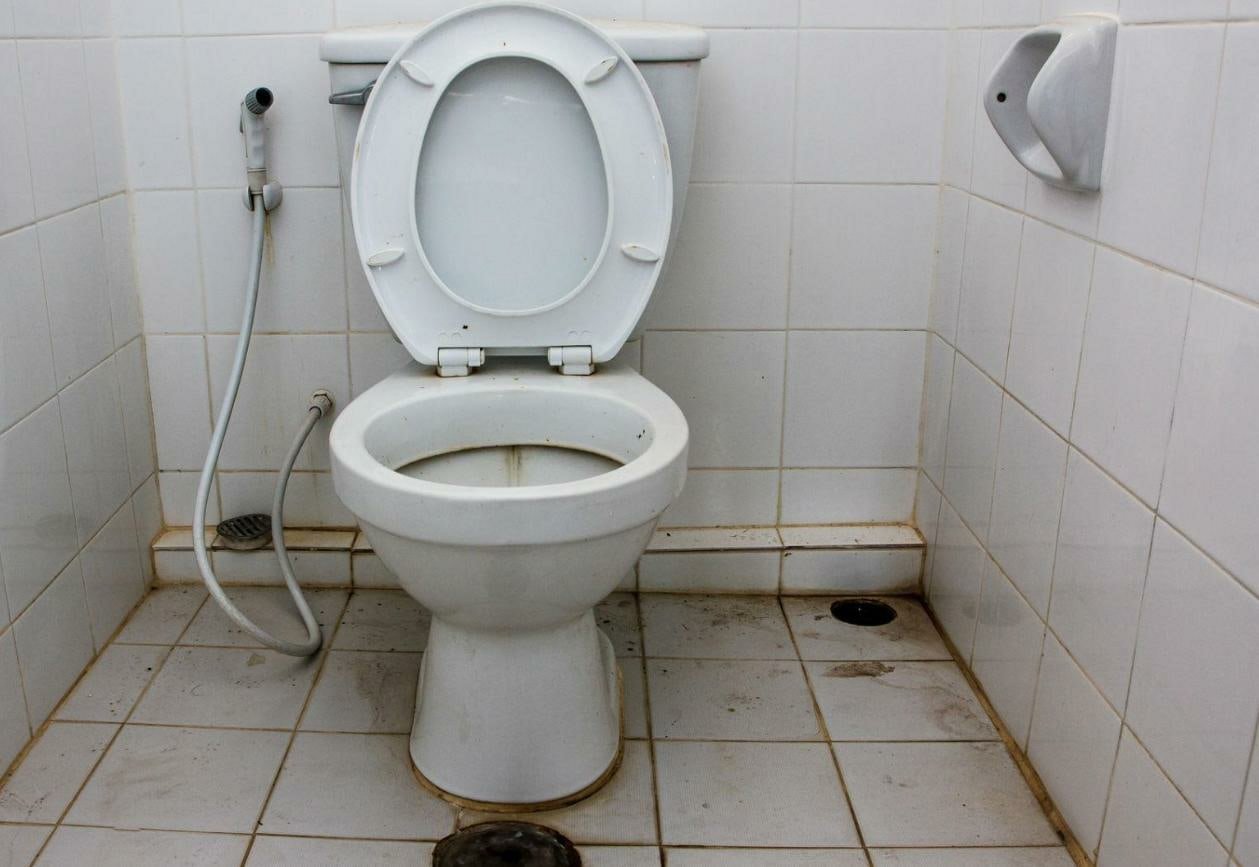 Туалет точка ру. Чистый унитаз. Унитаз для больших людей.
