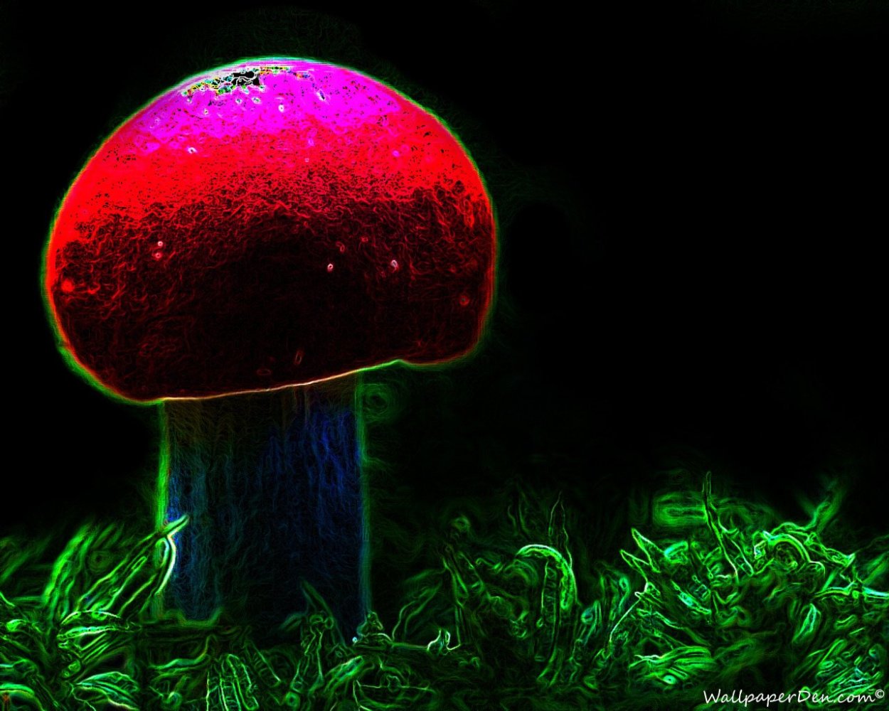 Цветные грибы