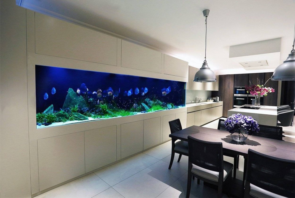 Большие аквариумы для дома