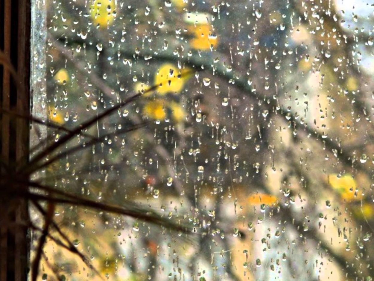 В окна стучали крупные дождевые капли. Дождливая осень за окном. Осень дождь за окном. Дождь в окне.