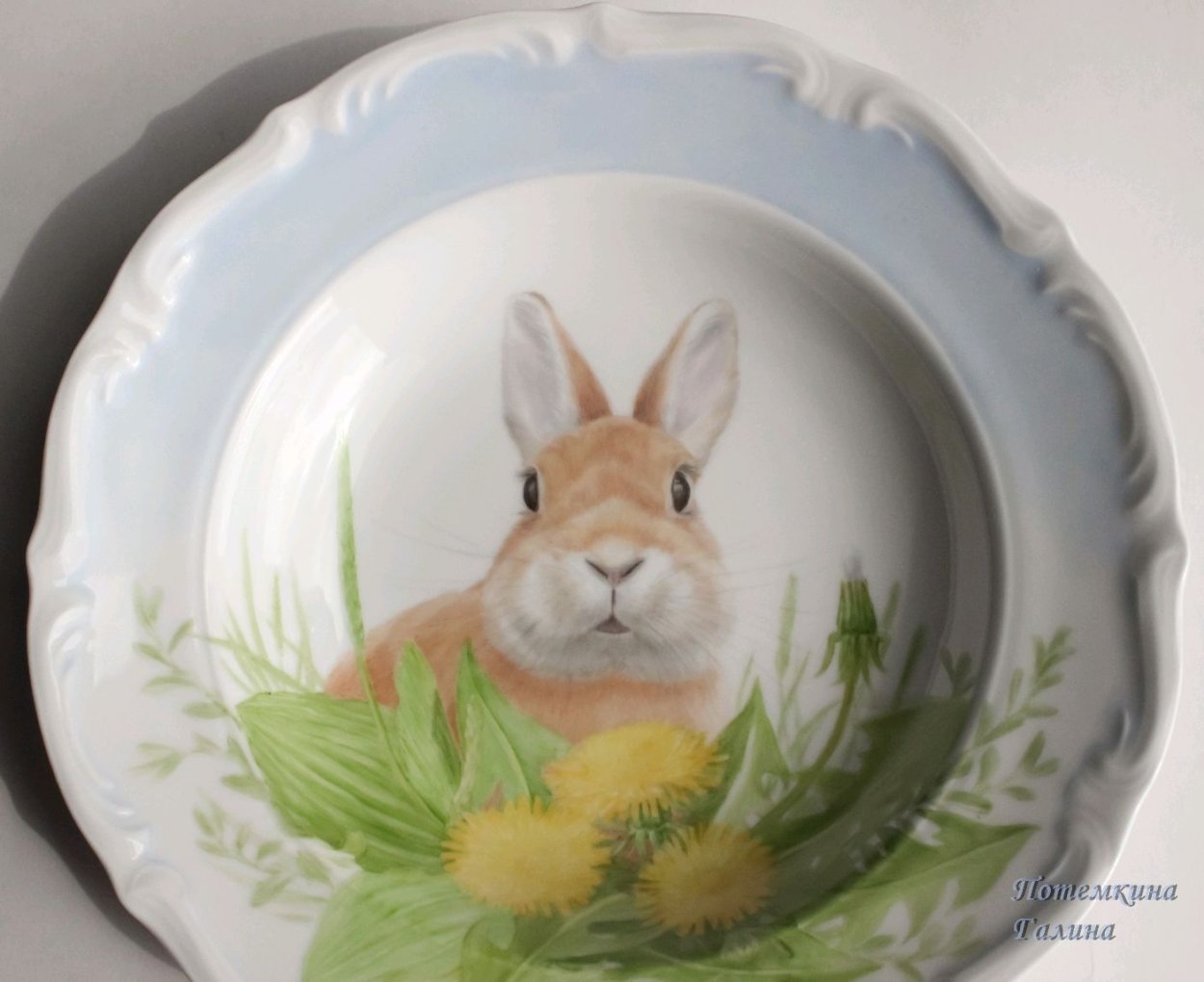 Тарелка с зайчиками. Посуда с кроликами. Тарелка с кроликом. Тарелка «заяц».
