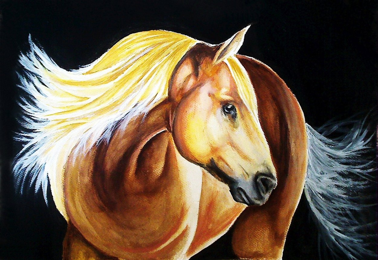 Лошадь красками. Лошадь акриловыми красками. Картины лошадей красками. Краска лошадка.