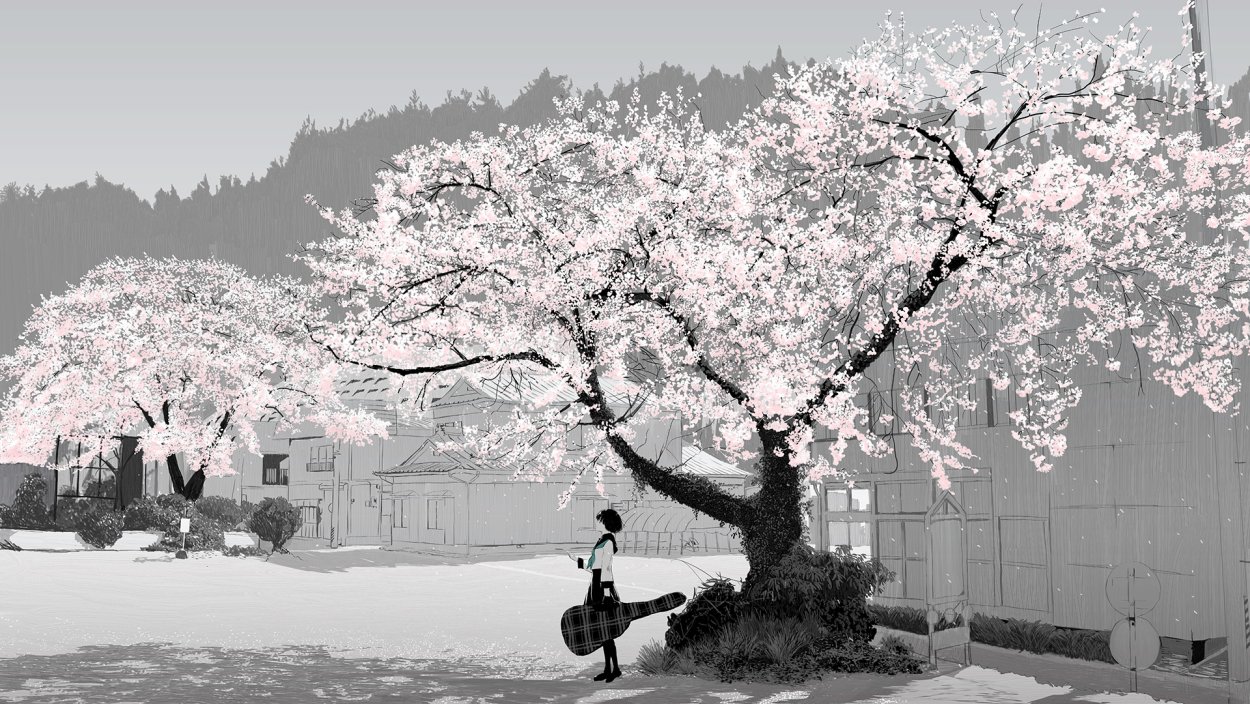 Белая сакура дерево