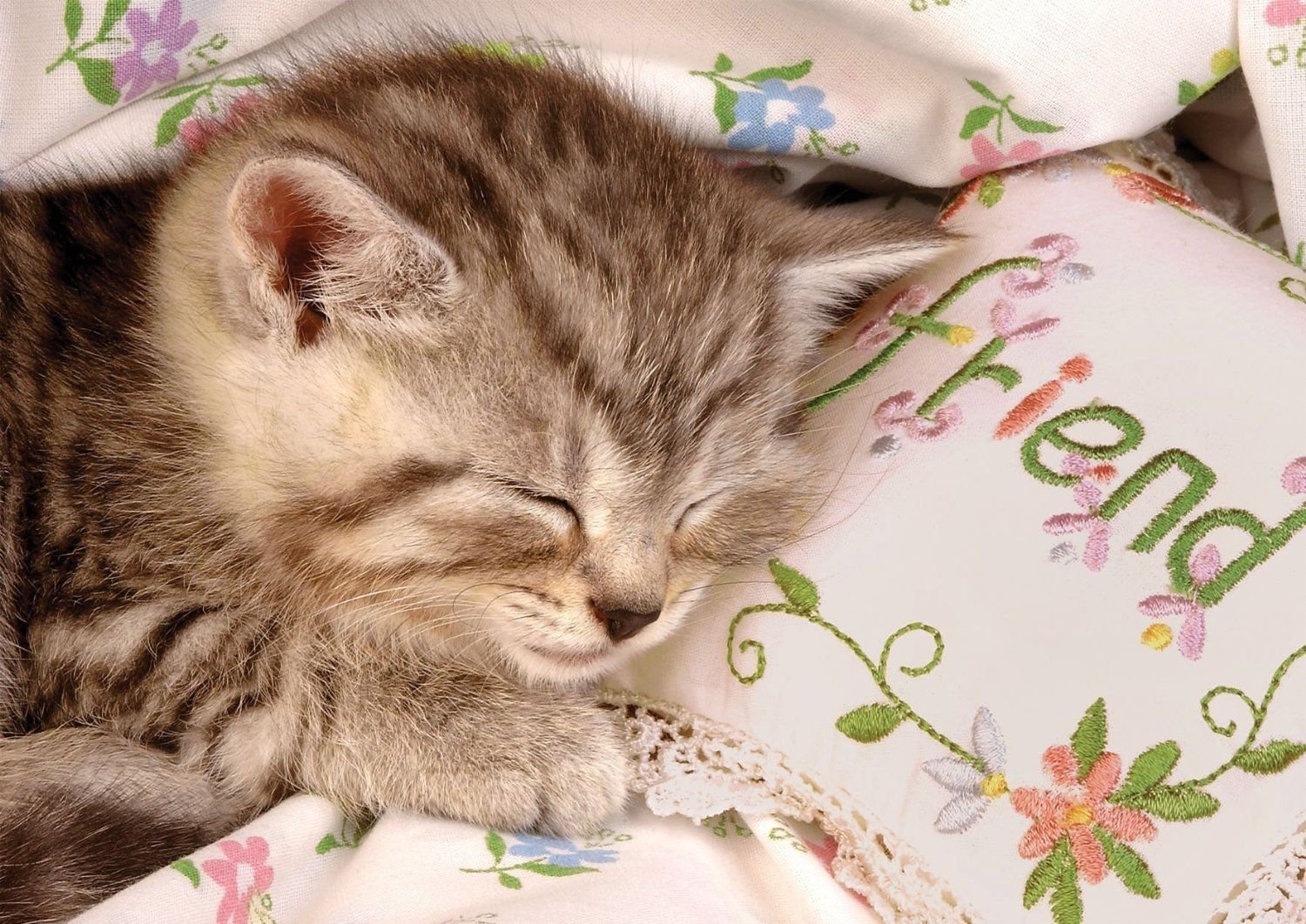 Спокойной час. Котенок. Спокойной ночи!. Спокойной ночи котики. Сладких снов котенок. Спокойной ночи с кошками.
