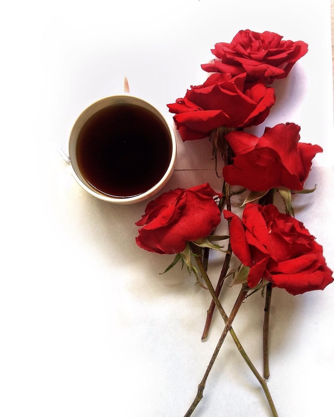 Добрый день цветы любимой. Кофе и цветы. С добрым утром розы. Цветы и кофе с добрым утром.