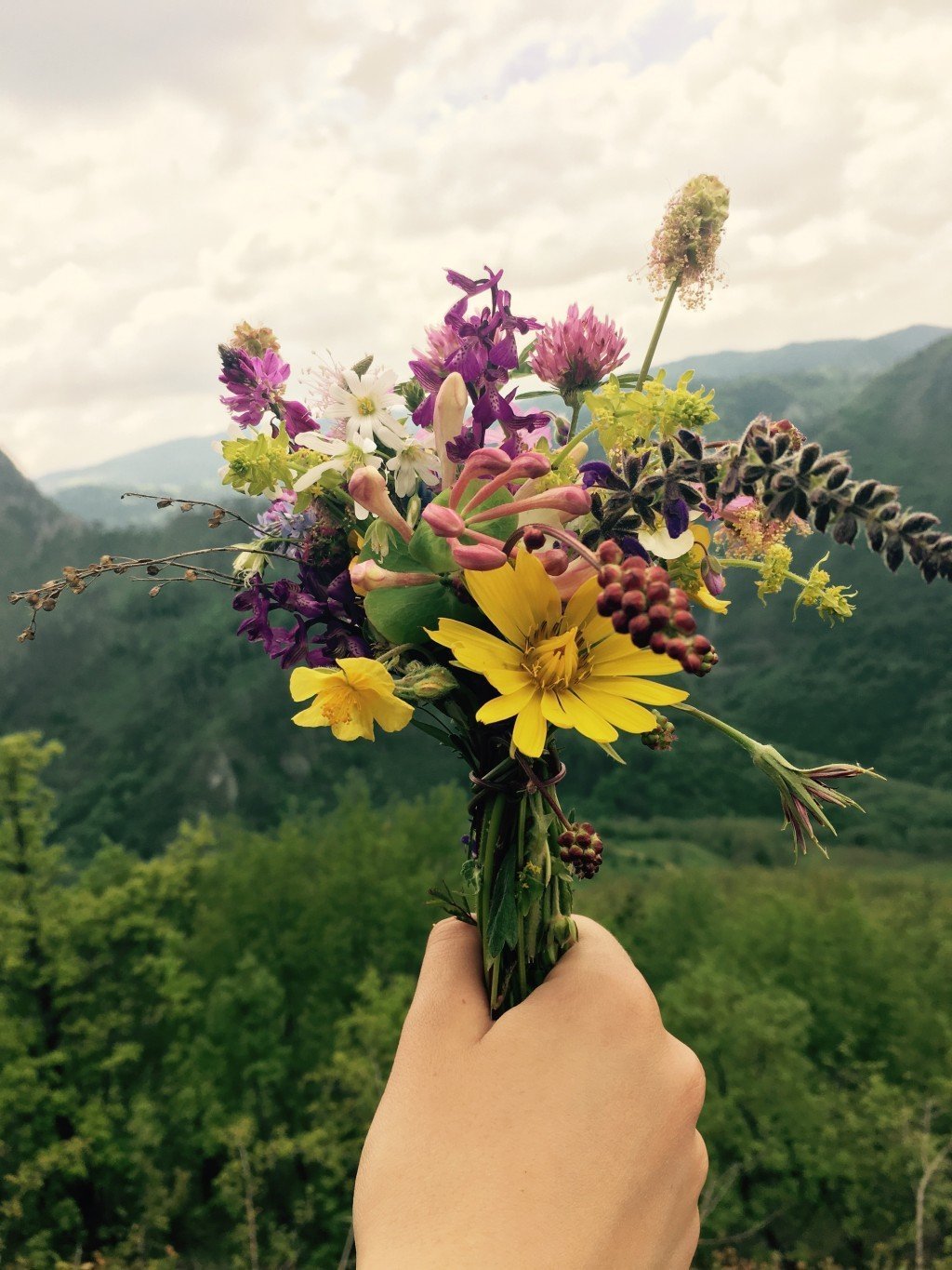 Букет полевых цветов в руках