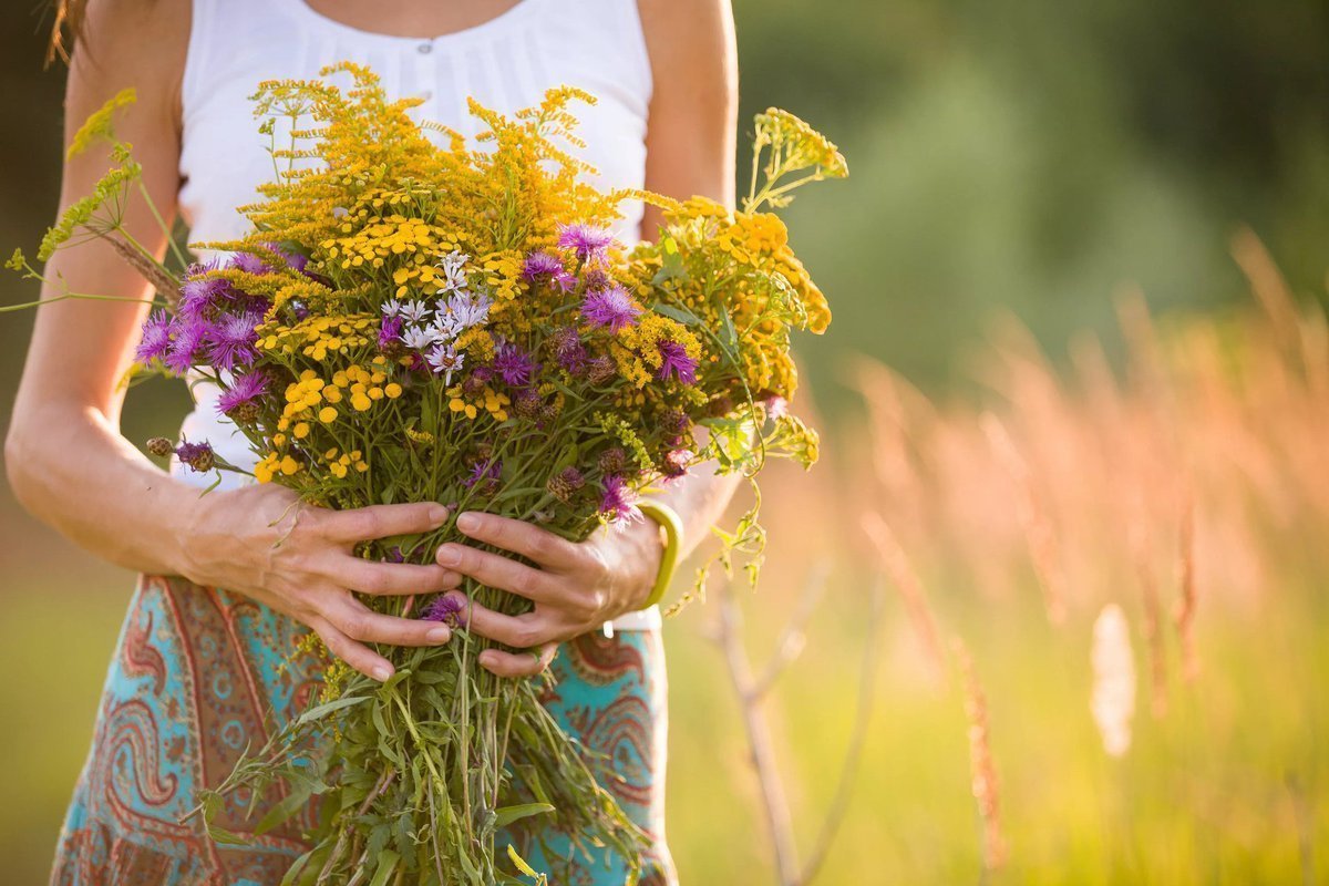 Сколько собирают букет. Букет полевых цветов. Полевые цветы в руках. Букет "женщине". Букет полевых цветов в руках.