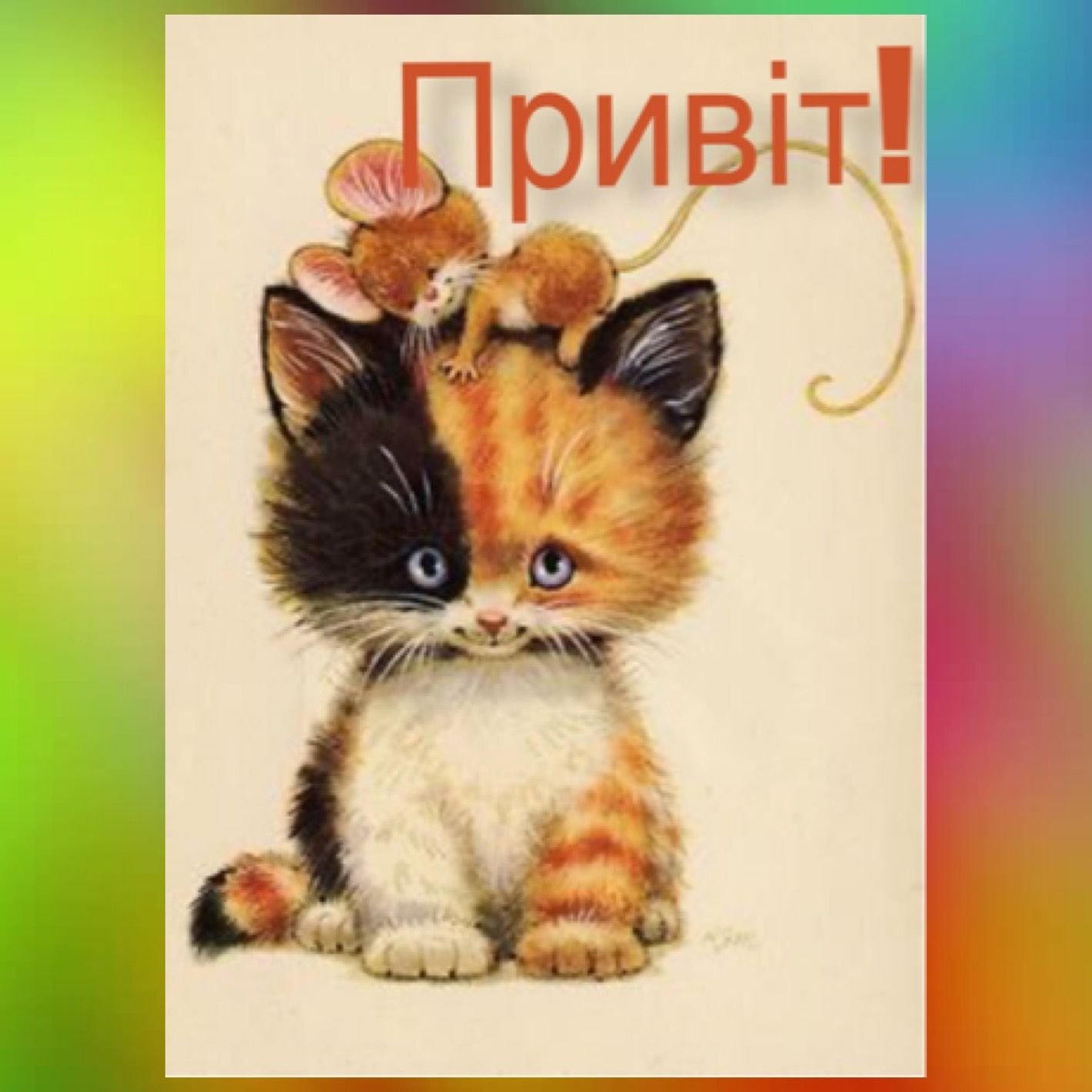 Смешные открытки с котом. Коты иллюстрации. Открытки с котятами. Забавные милые иллюстрации. Открыток с изображением котят.