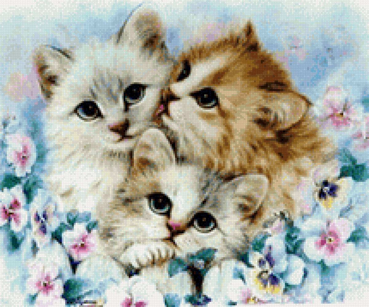 Цветные картинки кошек. Красивые котята. Милые котята. Котенок рисунок. Картина котики.