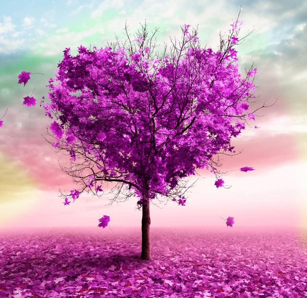 Дерево с красивыми цветами