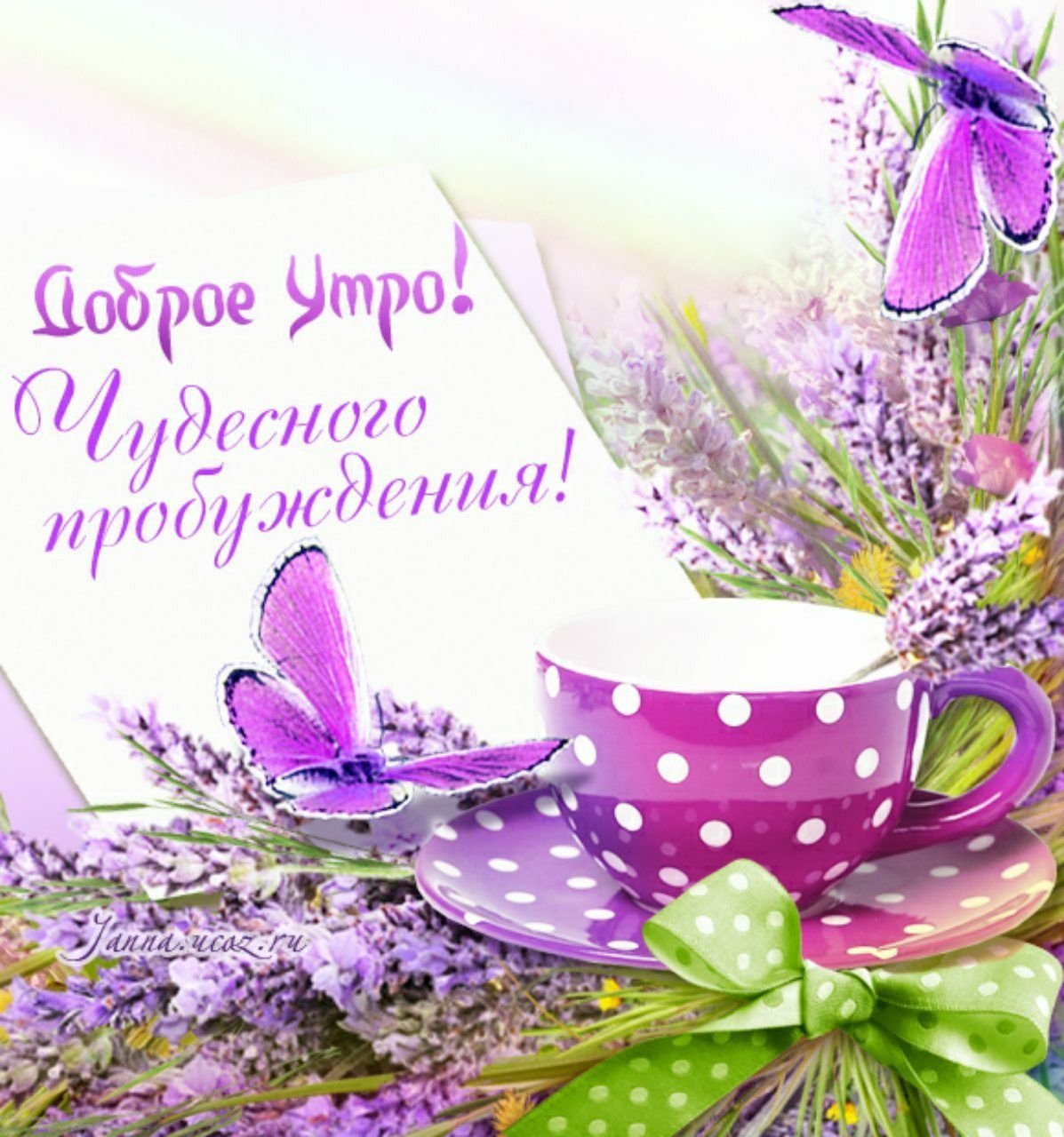 Доброе утро красивые картинки с пожеланиями. Доброе Весеннее утро. Пожелания доброго утра. С добрым утром Весна. С добрым весенним утром.