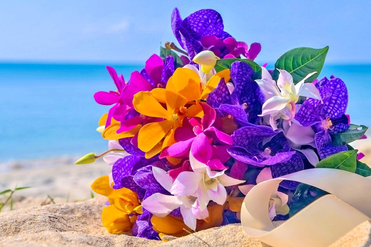 Экзотические цветы. Цветы и море. Роскошные цветы и море. Букет на фоне моря.
