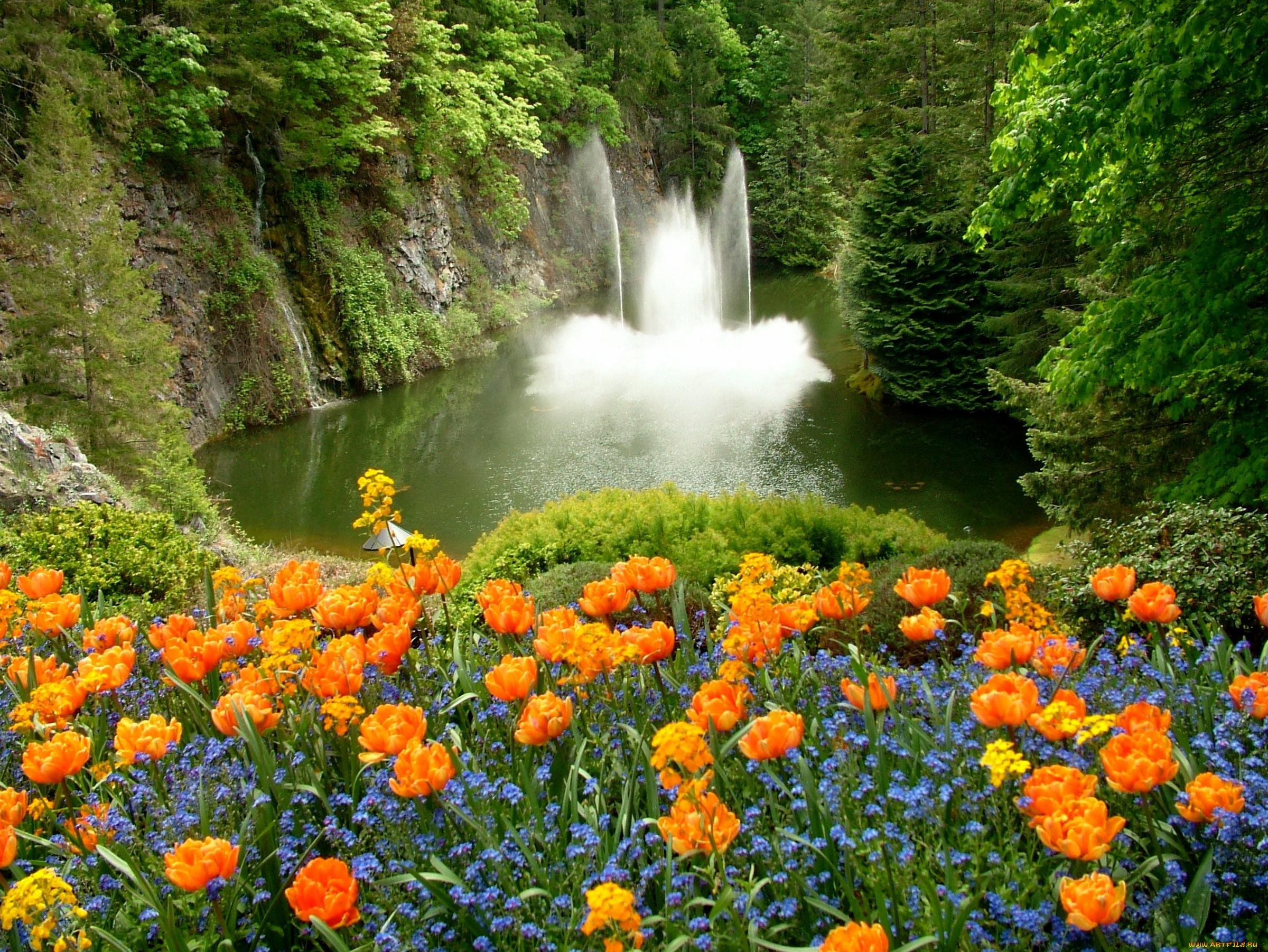 Бесплатные картинки. Фоторамка TEXET TF-317. Весна водопад. Красота природы. Природа цветы.