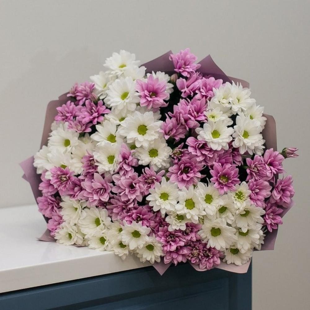 Фиолетовые хризантемы букет
