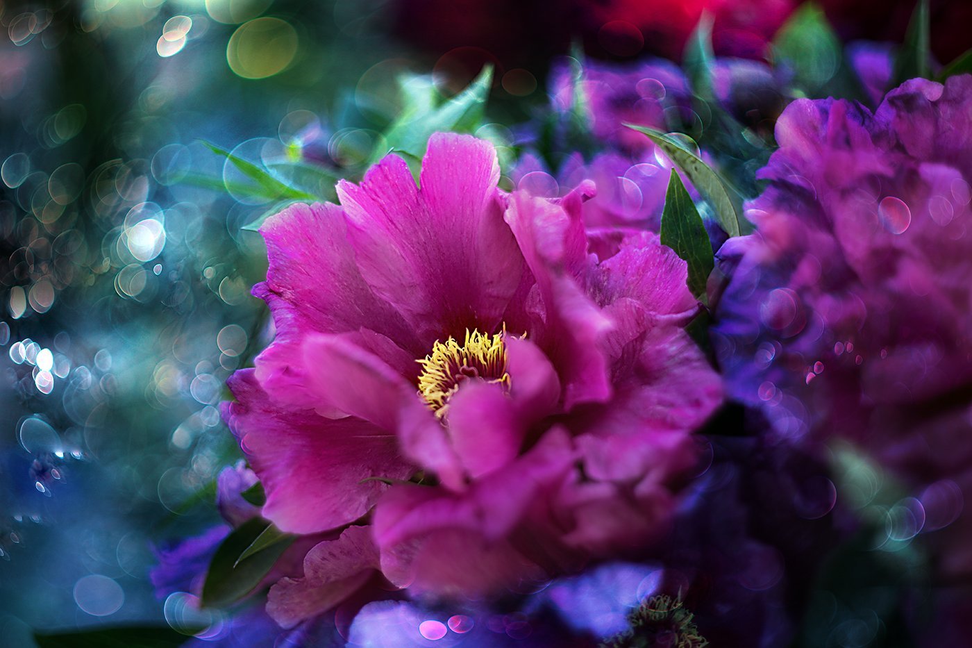 Яркие цветы сказочные. "Сказочный цветок"Дианы Эловой.. Яркие цветы. Волшебный цветок. Красивые цветы.