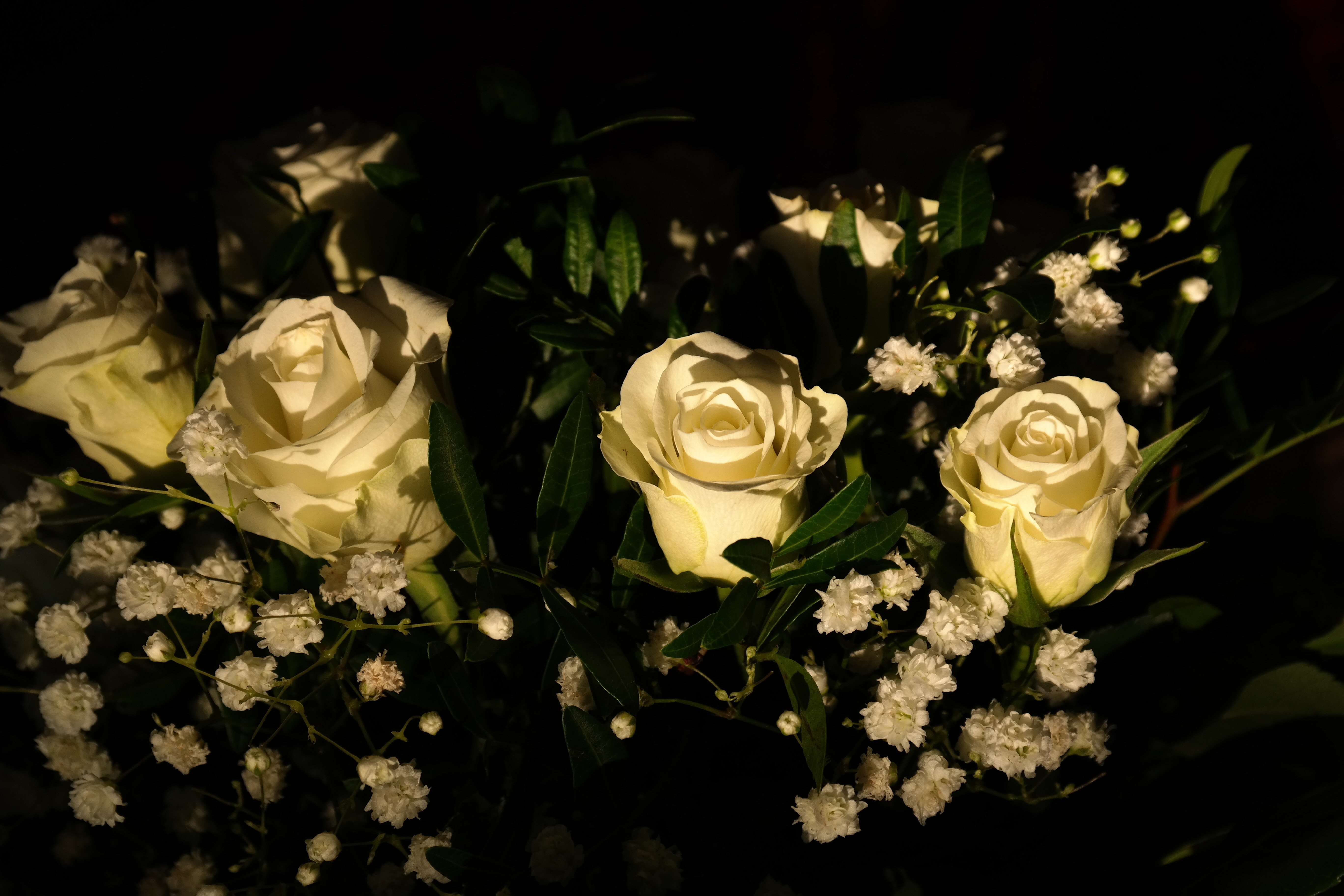 Розы букет вечер. Букет на темном фоне. Белые розы ночью. Букет цветов на темном фоне. Красивые цветы ночью.