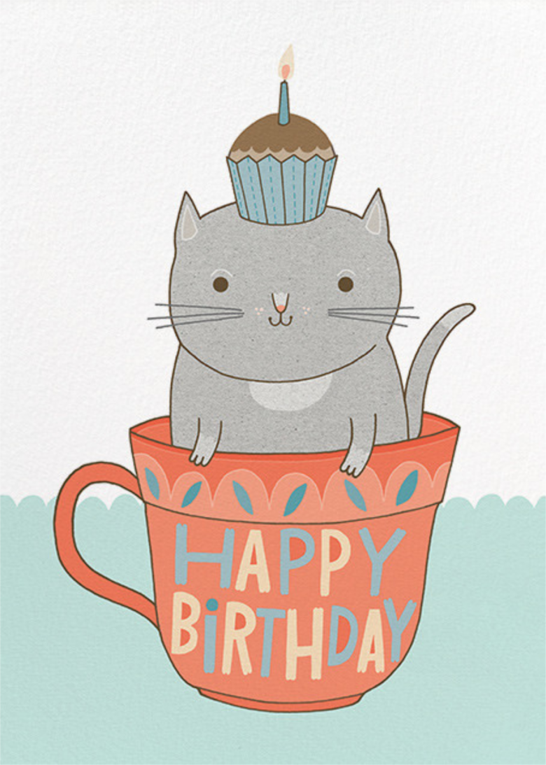Открытки с днём рождения с котиками. Милые открытки с днем рождения. Открытка с днём рождения Минимализм. Открытка с др с котом. С днем рождения минималистично