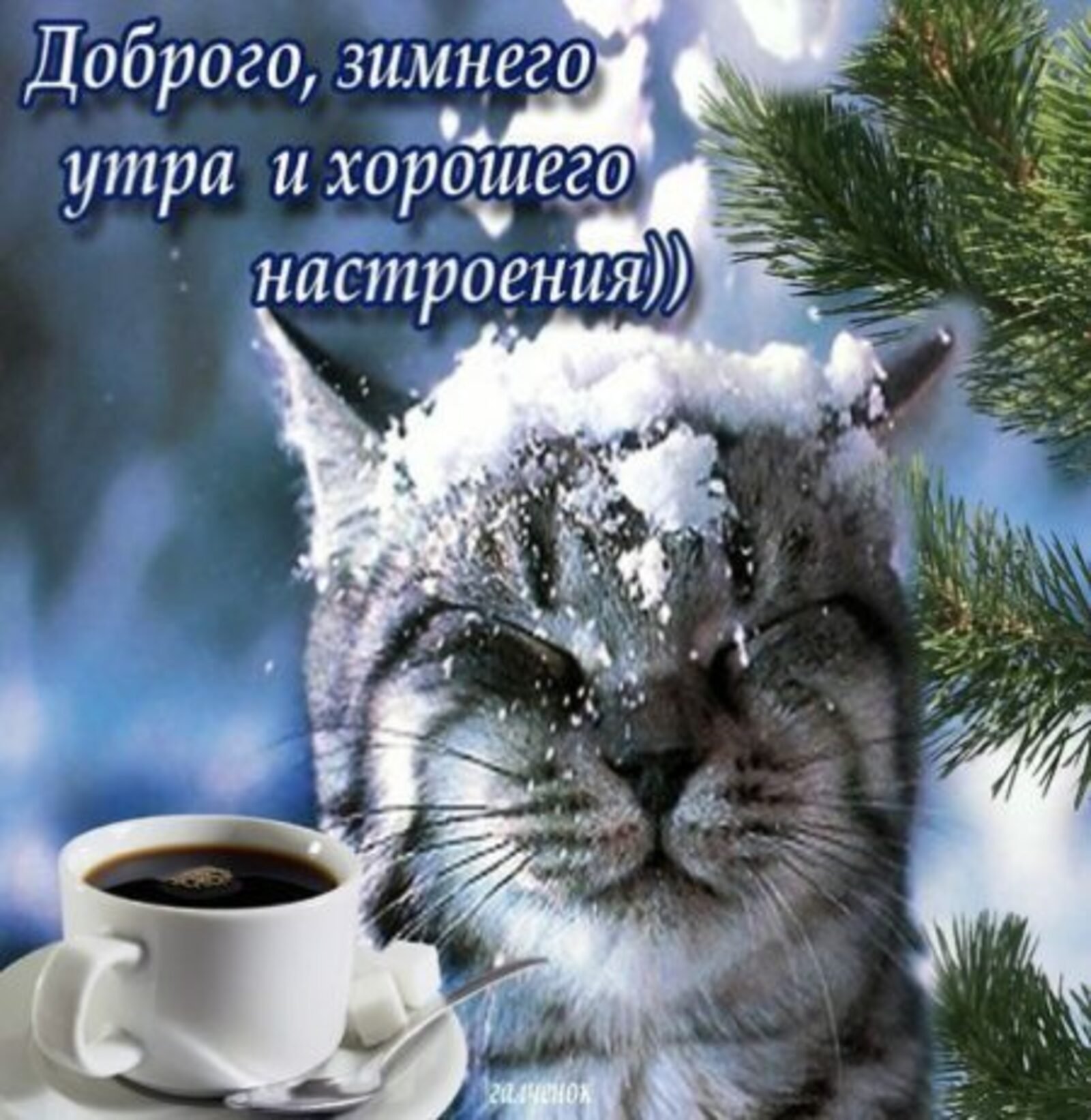 Пожелание хорошего зимнего дня красивые картинки. Доброе морозное утро. С добрым зимним утром. Пожелания доброго зимнего утра. Доброе Снежное утро.