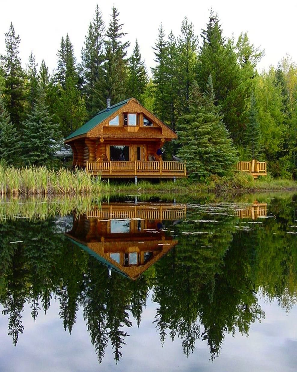 Домик у озера в лесу