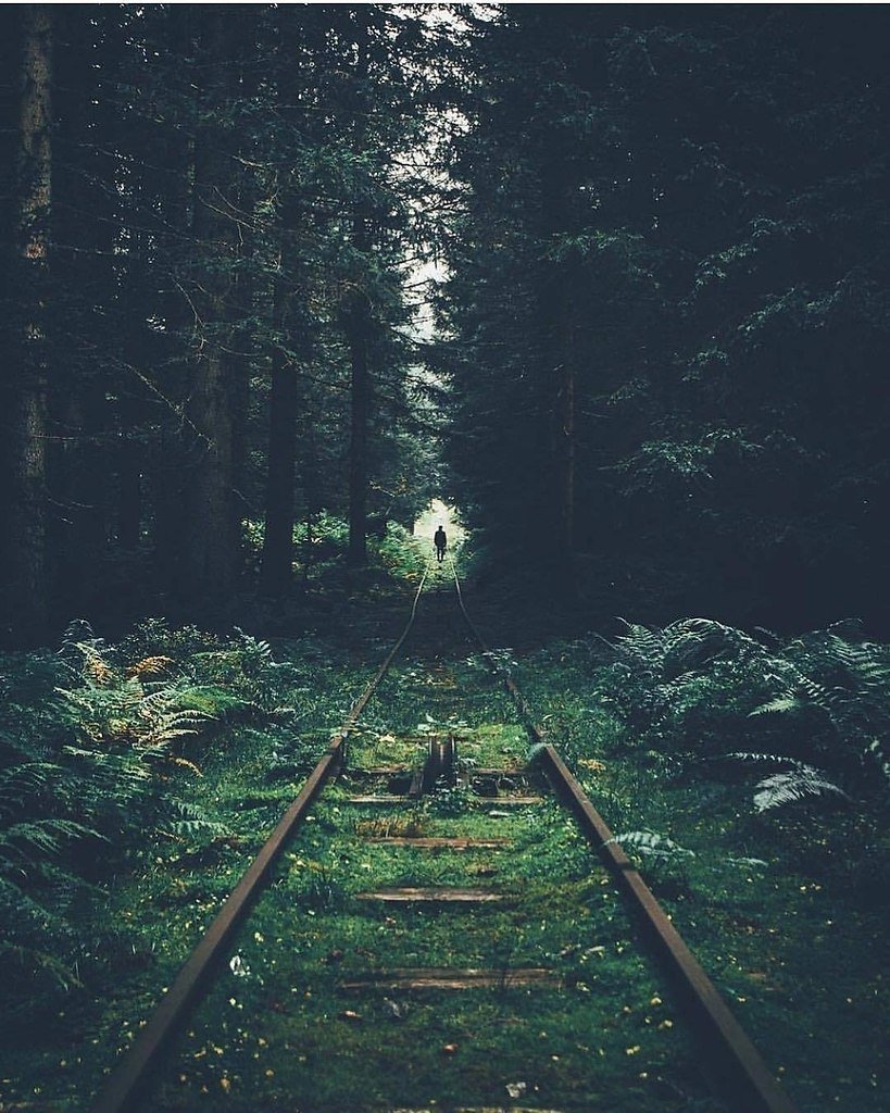 Заброшенный поезд в лесу
