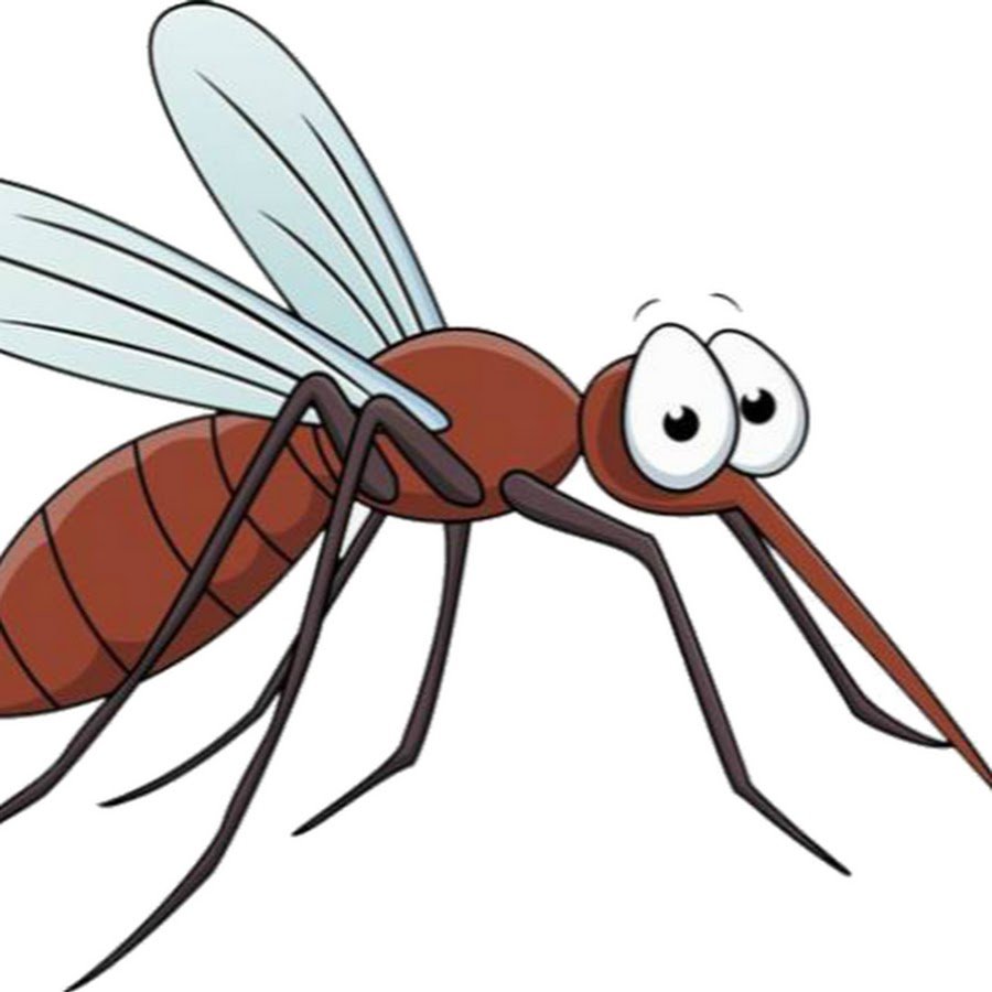 Рисунок комара