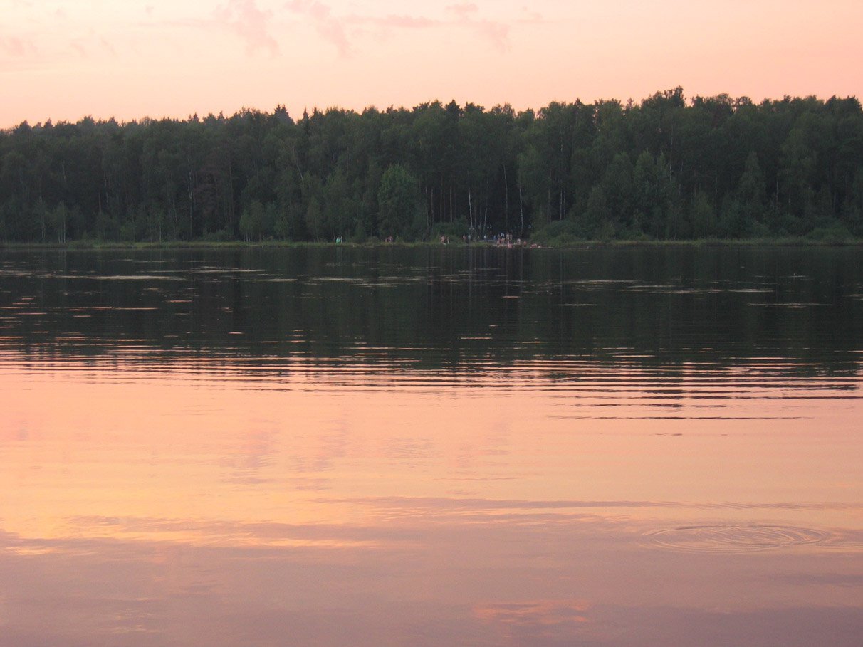 Озеро черное московская область - 77 фото