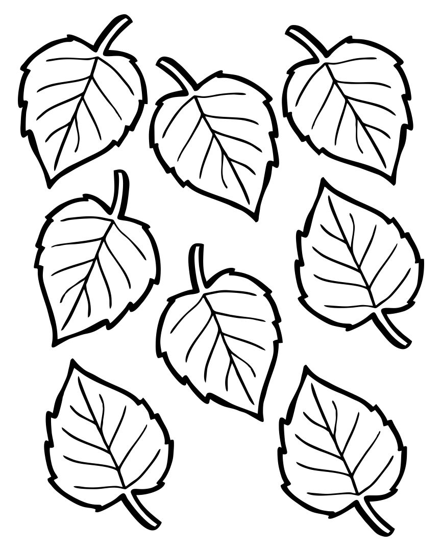 Рисунок листок