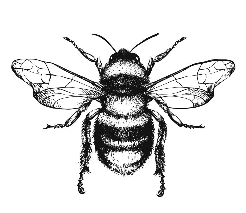 Нарисованная пчела