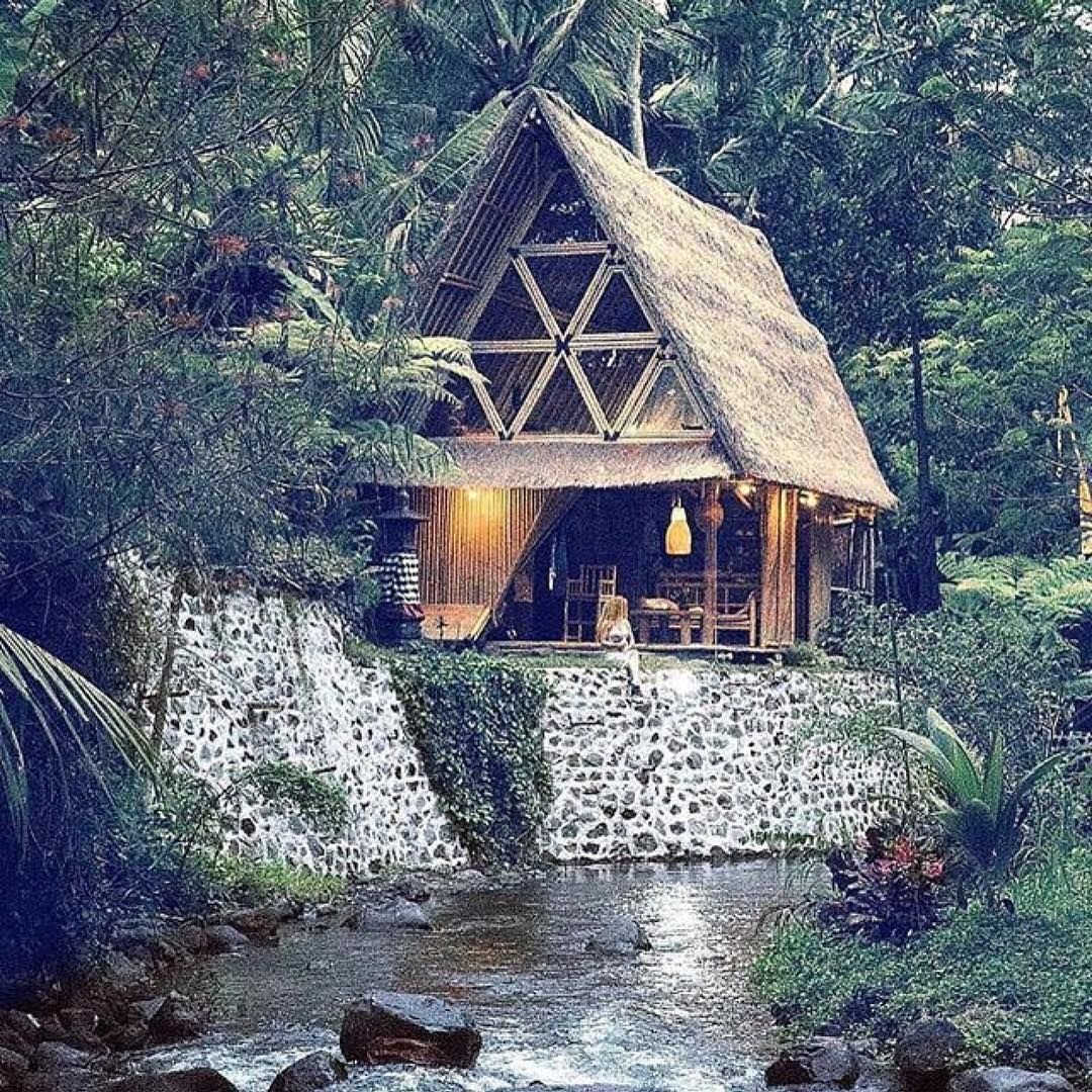 Дом в джунглях