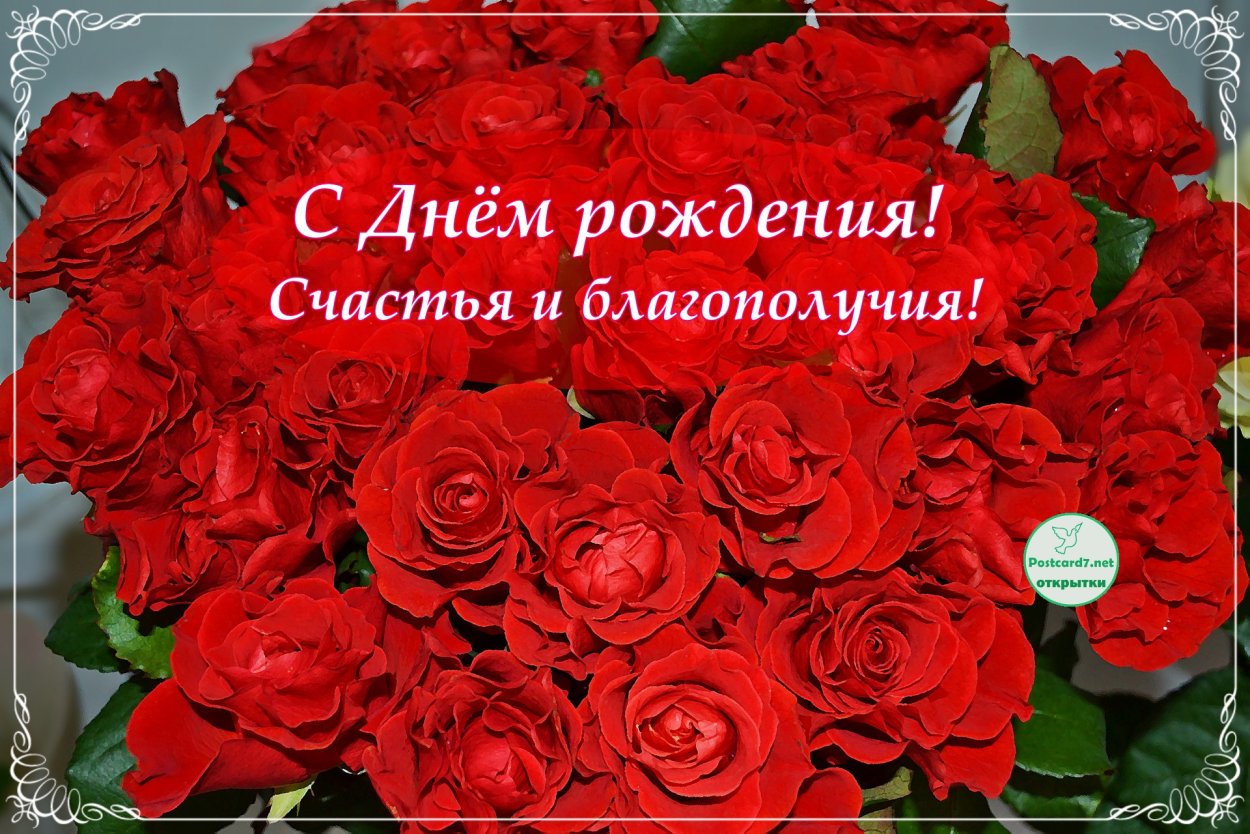 С днем рождения розы женщине